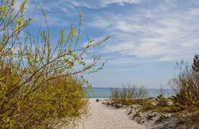 BlueApart Nadmorski Park Jastarnia - Foto 58