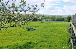 Tanglewood - Photo 22