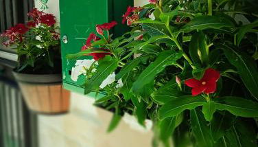 A meravigghia Casa vacanze - Foto 5