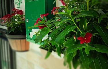 A meravigghia Casa vacanze - Foto 5