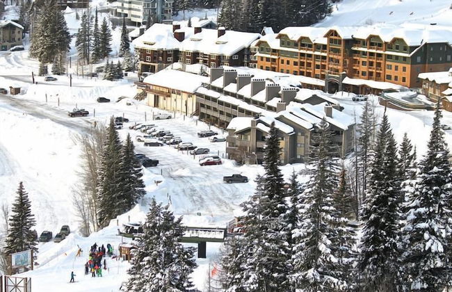 Morning Eagle - Photo 12