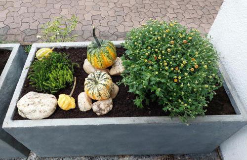 Ferienwohnung "Auszeit" - Foto 24