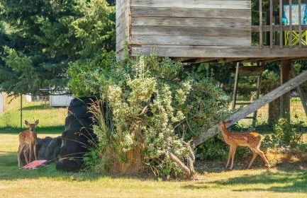 Tranquility Base - Family Fun Modern Farm House - Foto 47