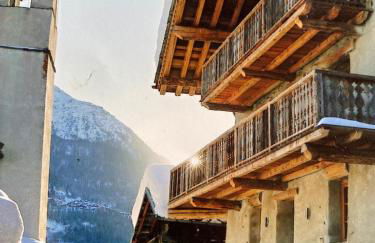 Chalet Violettes - Foto 1