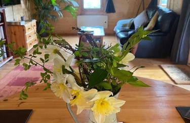 Crafter's Retreat luxury cabin on the Norfolk Cambridgeshire border - Foto 35