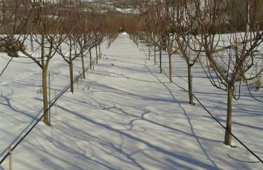 Case di Stratola - Foto 44