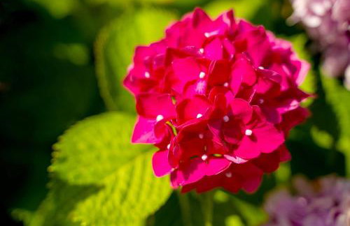 Apartment Veroeva - Photo 13