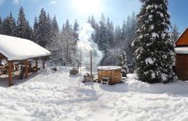 Sielankowo-dom na wyłączność - Photo 11