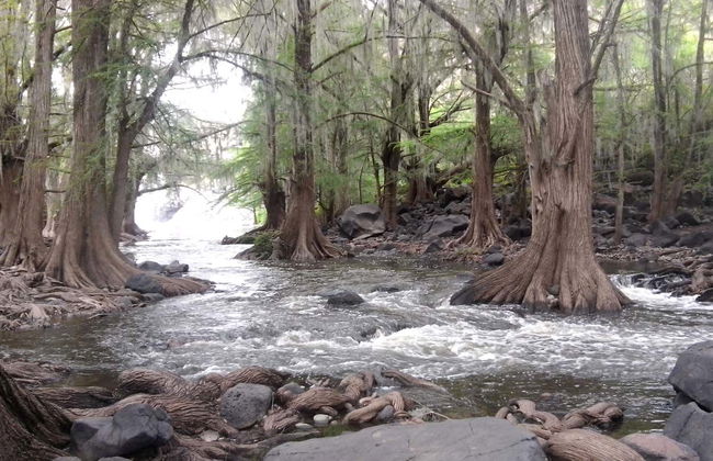 Excursión a Nombre de Dios - Foto 6