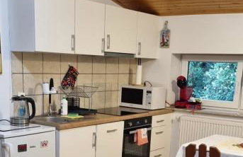 Apartament Skórcz Kociewie Pomorze Gdańskie Agroturystyka - Foto 12