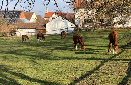 Blaustein Loft - Foto 23