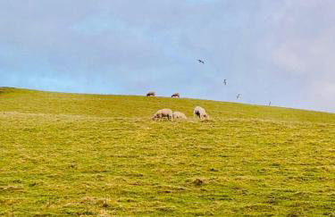 Wee Knockinaam, Portpatrick - clifftop seaview - Foto 7