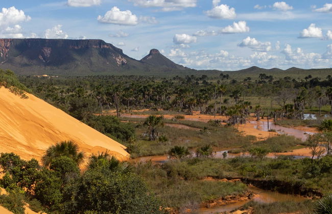 Tour de 12 días por Tocantins - Foto 6