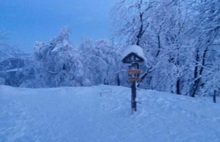 Pochebachhäusl - Foto 20