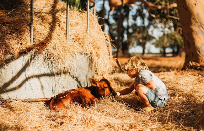 Margaret River Holiday Cottages - Photo 57