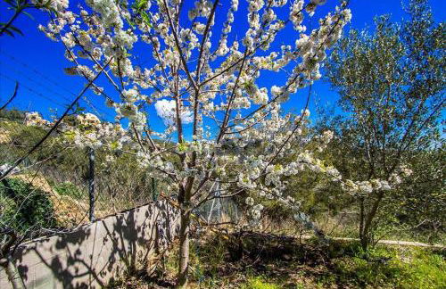 Catalunya Casas Modern Hilltop Haven with private pool 7km to beach - Foto 22