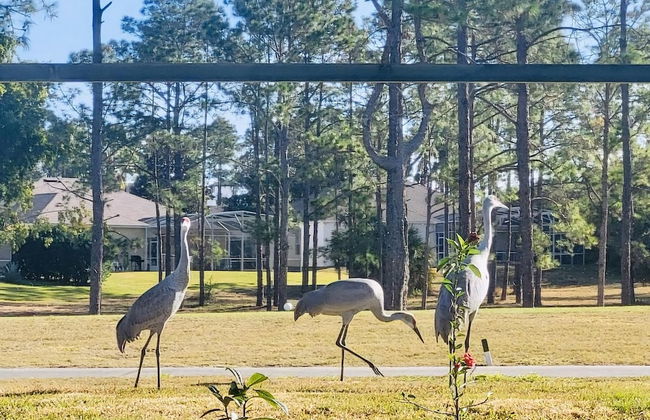 Amazing Vacation Home With Private Pool at Highland Reserve! - Photo 45