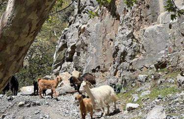 La Maison Bleue Sand Dunes - Foto 4