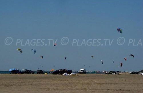 Les Oliviers de Camargue - Foto 23