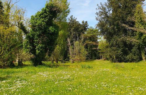 La DOGARESSA - Foto 12