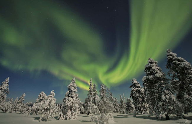 Tour fotográfico de la aurora boreal - Foto 3