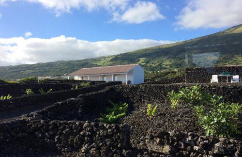 Insula Vinus Apartments - Photo 20