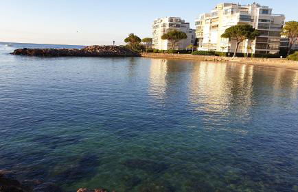 Garden and beach sea view apartment Cannes - Foto 39
