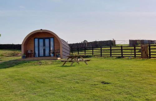 High Whashton Springs Glamping Pod, Richmond Yorks - Foto 10