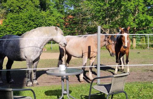 Ferienwohnung zur Pferdekoppel - Foto 2