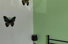 Il Tulipano - Photo 15