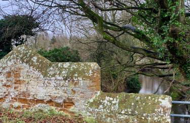 Pinnacle Cottage grade II listed home at the coast - Foto 32