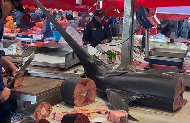 "Vive tu sueño siciliano" Excursiones privadas de 4 días desde Taormina". - Foto 15