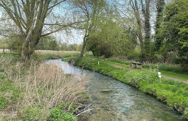 Oxfordshire Village Cottage With Private Garden - Foto 13