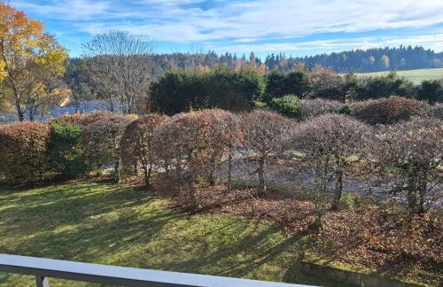 Schönblick - Foto 7