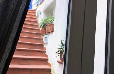 TAVERNETTA SUL PORTO - Photo 23