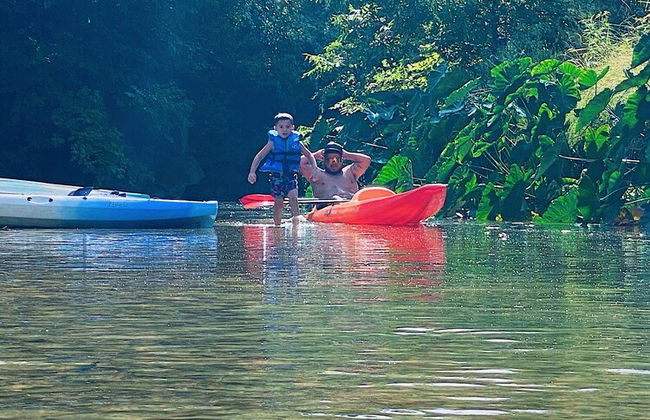 9 Son's Rio Cibolo - Birdhouse Cabin - Foto 47