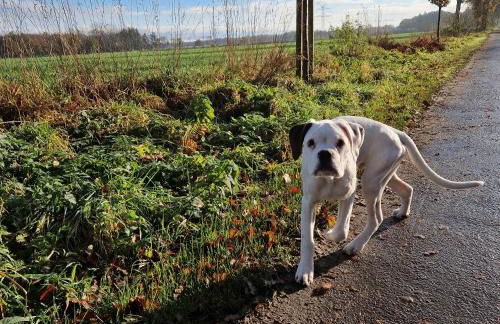 Moorparadies FRI-Südliches Friesland - Foto 16