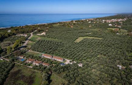 Asfendamos - Foto 56