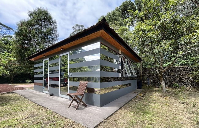 White Rabbit - Photo 6