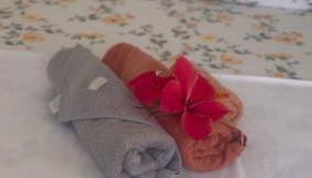 Ilha de Boipeba kitnets para temporada - Morada dos Pássaros Boipeba - Foto 5