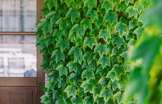 Alloggio Agrituristico Albafiorita - Foto 106