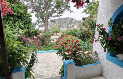 Studios Ioanna Limnionas Samos - Foto 70