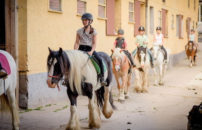 Nengshof - Haus Wildrose - Photo 47