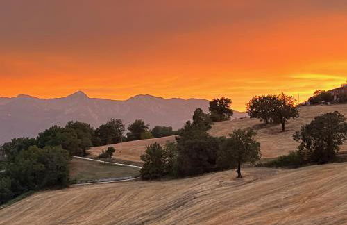 Agriturismo Colpo di Fortuna - Foto 56