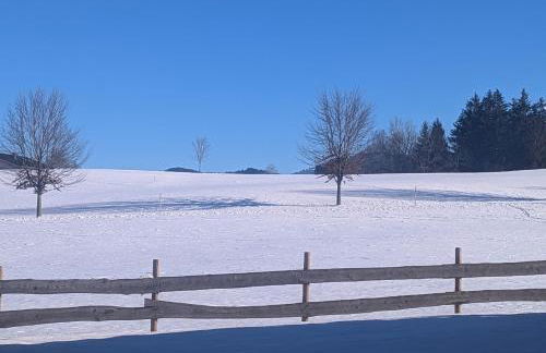 Allgäu Bergluft - Photo 67