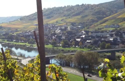 Weingut Matthias Dauns - Foto 13