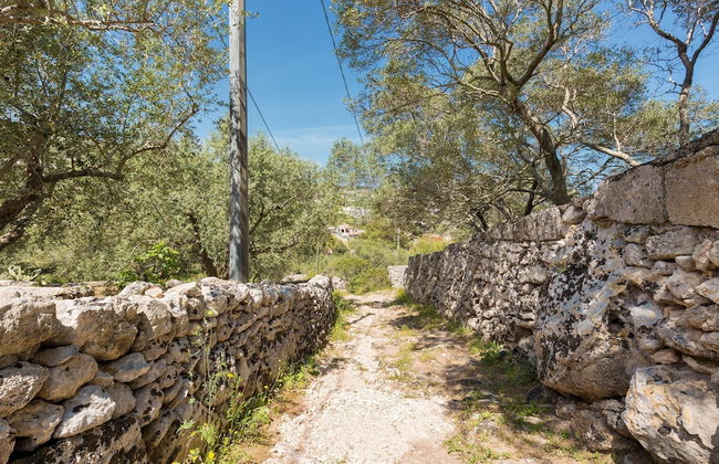 Il Giardino delle Cipolliane - Foto 58