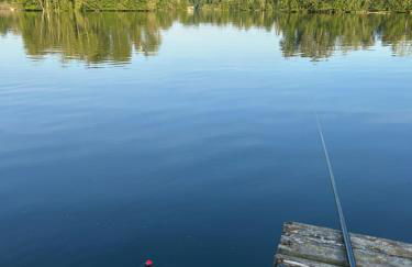 Direkt am See mit privatem Sandstrand - Foto 44