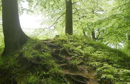 Ferienwohnung Stein - Foto 20