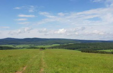 Przystanek Letnisko - Foto 22